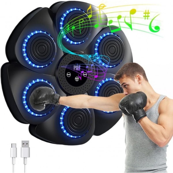 Bluetooth Music Boxing Target