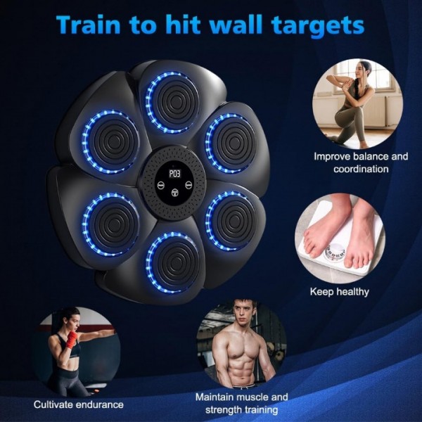Bluetooth Music Boxing Target