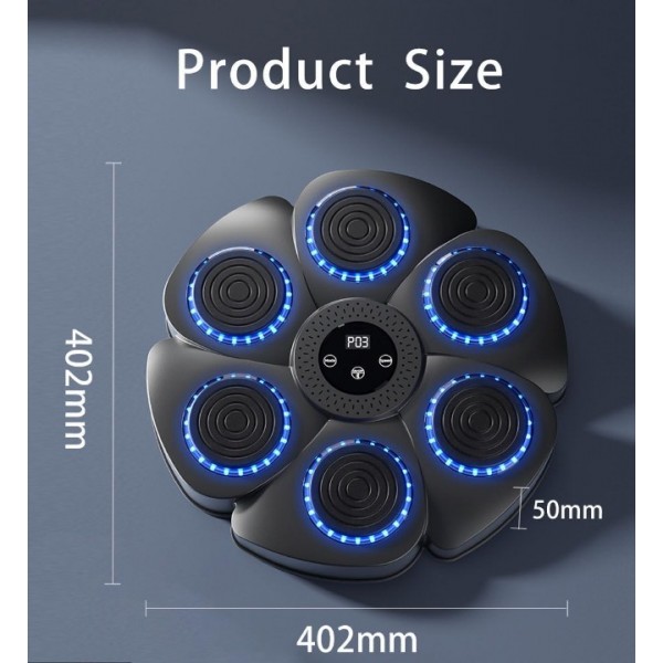 Bluetooth Music Boxing Target